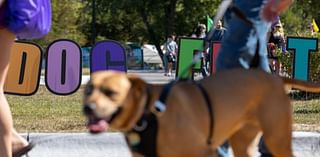 Pets, owners enjoy beautiful day at Nebraska Humane Society fundraiser