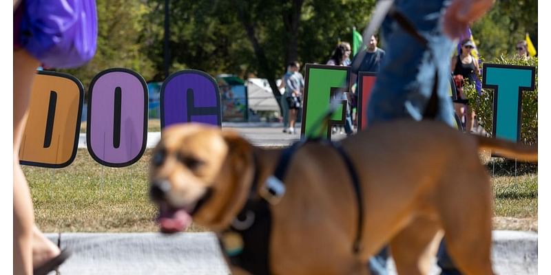 Pets, owners enjoy beautiful day at Nebraska Humane Society fundraiser