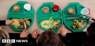 Huge obesity rates among Halton borough's primary pupils