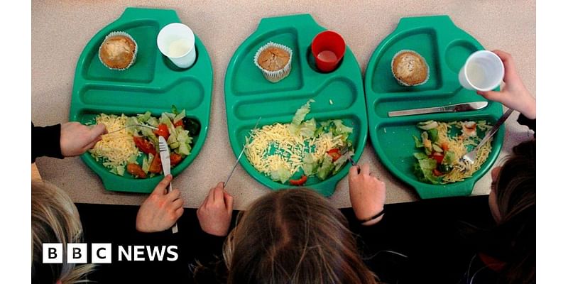 Huge obesity rates among Halton borough's primary pupils