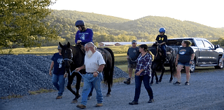 'Dreams Go On' seeks volunteers to help with therapeutic horse riding sessions