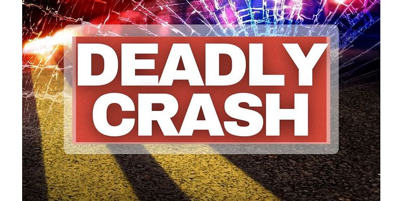 4 ‘males’ killed in Darlington County crash, coroner says