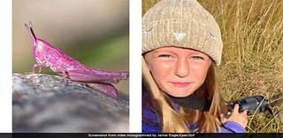 8-Year-Old UK Photographer Spots Rare Pink Grasshopper, Shares Stunning Pic