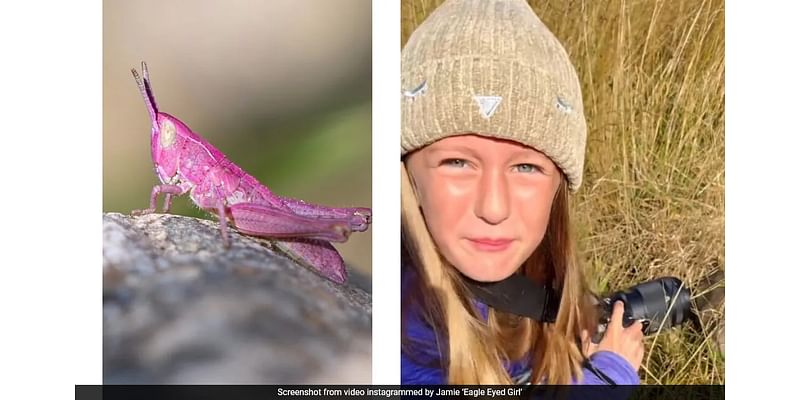 8-Year-Old UK Photographer Spots Rare Pink Grasshopper, Shares Stunning Pic