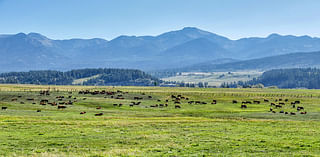 Posts From The Road: San Juan Mountains Scenery