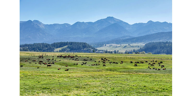 Posts From The Road: San Juan Mountains Scenery