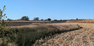 Multiple responders called to cornfield fire near Moville