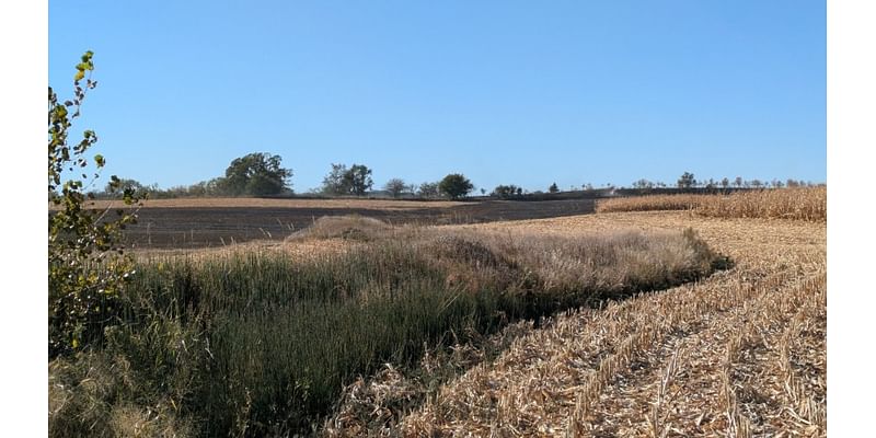 Multiple responders called to cornfield fire near Moville