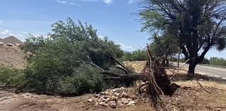 National Weather Service confirms EF-1 tornado touched down in Tucson