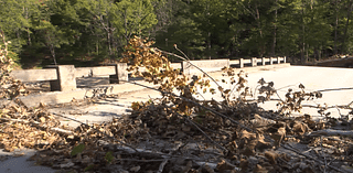 Makeshift bridge made to connect Poga residents on ‘Bob’s Island’