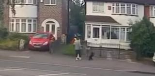 Moment thug viciously kicks dog in the head after telling owner to 'move your f*****g dog' after they walked past his driveway