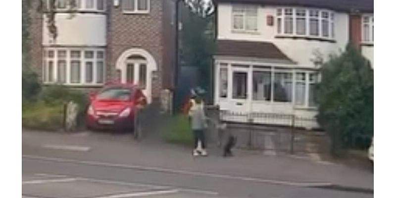 Moment thug viciously kicks dog in the head after telling owner to 'move your f*****g dog' after they walked past his driveway