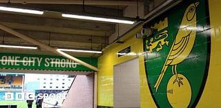 Norwich City announce Â£14.4m pre-tax loss but Â£73m annual turnover