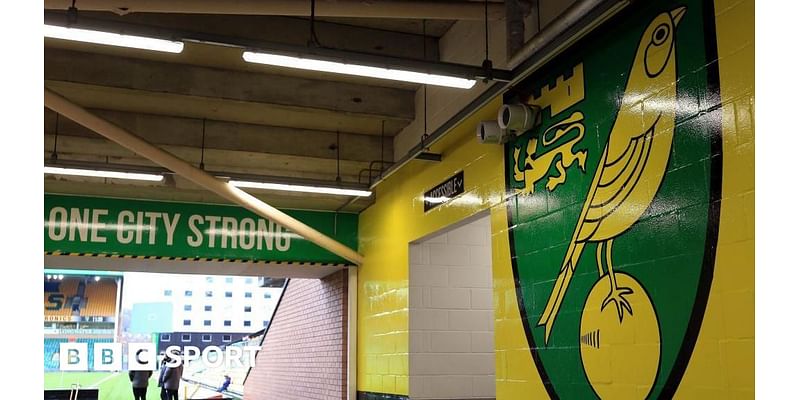 Norwich City announce Â£14.4m pre-tax loss but Â£73m annual turnover