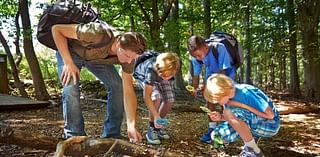 When Schools Give Kids Time in Nature, Anxiety and Behavior Issues Ease