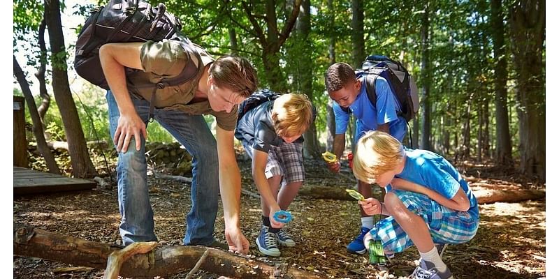 When Schools Give Kids Time in Nature, Anxiety and Behavior Issues Ease