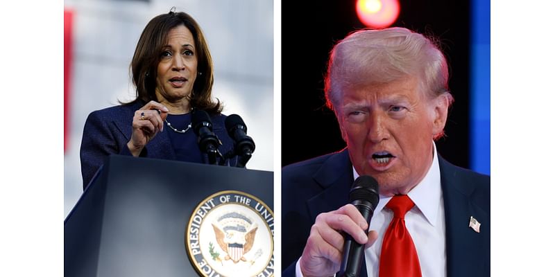 Kamala Harris and Donald Trump Both Entered the Lion's Den. Who Triumphed?