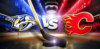 Predators vs. Flames prediction, odds, pick - 11/15/2024