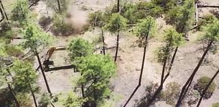 Crews clean up northern Arizona's Dude Fire site in Tonto National Forest