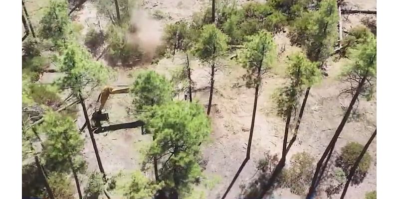 Crews clean up northern Arizona's Dude Fire site in Tonto National Forest