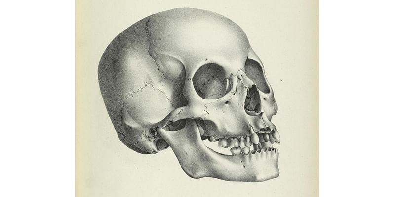 Hundreds of 19th-century skulls collected in the name of medical science tell a story of who mattered and who didn’t