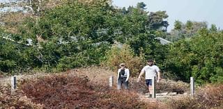 A decade of help discover the beauty of Chino Hills State Park