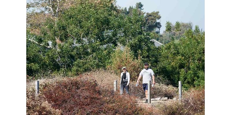 A decade of help discover the beauty of Chino Hills State Park