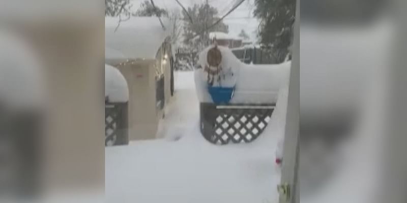 "Please bear with us as we dig ourselves out of this": Trinidad sees over two feet of snow in winter storm