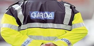 Woman (35) dies in hospital three weeks after Limerick crash