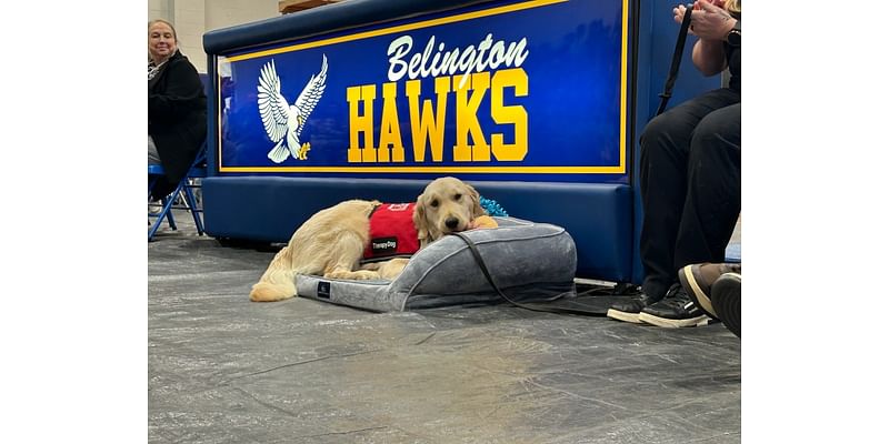 First Lady Justice delivers Barbour County Schools’ first therapy dog