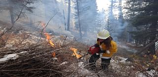 Prescribed burn south of Daniel starts today