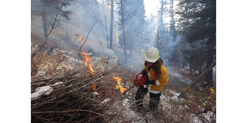 Prescribed burn south of Daniel starts today