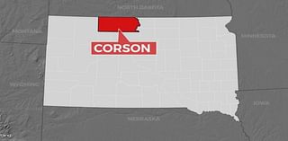 80 cattle missing in Corson County