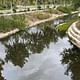 'I don't know what death smells like, but it's pretty close' | Recent visitors say San Pedro Creek Culture Park is in stinky phase