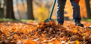 Police in Dauphin County institute no parking zone today for fall cleanup