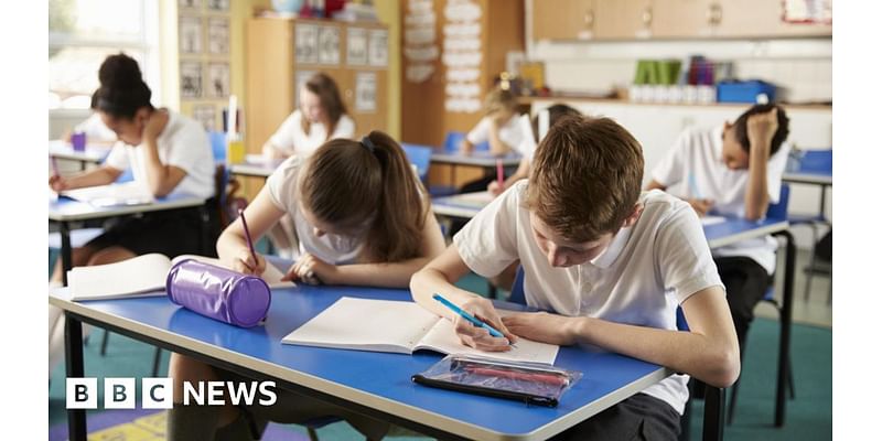 Somerset SEND pupils encouraged to stay in mainstream schools