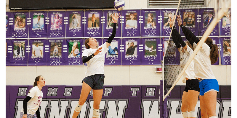 'All that purple': Minden volleyball is a source of community pride as chase begins for another title