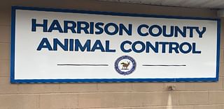 Harrison County Animal Control may need to euthanize dogs due to overcrowding