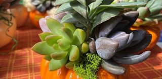 Make a spooky doll head planter; 90 things for Lancaster County plant people to explore in October