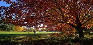 Feels like fall: Cooler temperatures this week in Cincinnati