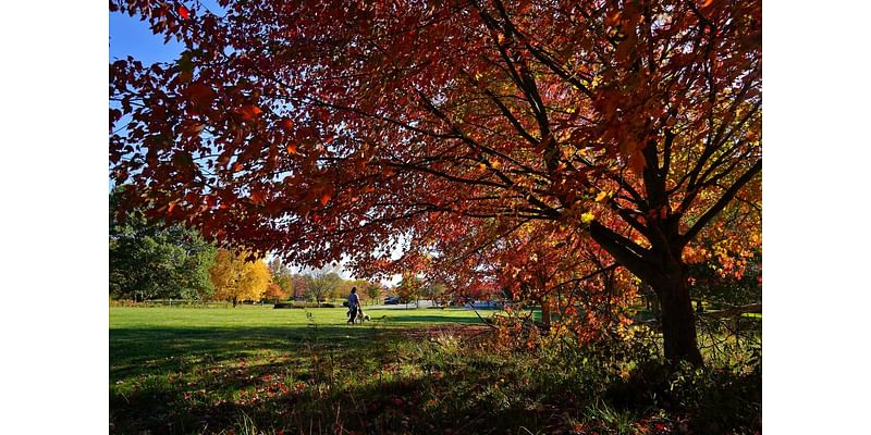 Feels like fall: Cooler temperatures this week in Cincinnati