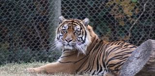 Cameron Park Zoo in Waco welcomes new animals