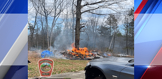 Illegal burning causes brush fire on College Highway in Southampton