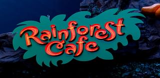 The Rainforest Cafe is opening in NYC with a pop