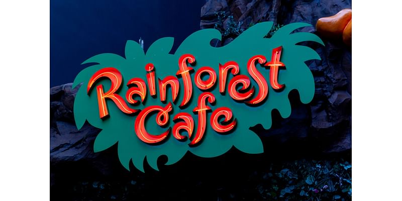 The Rainforest Cafe is opening in NYC with a pop