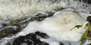 Source of high PFAS levels in Muskegon Lake foam unknown, researchers say