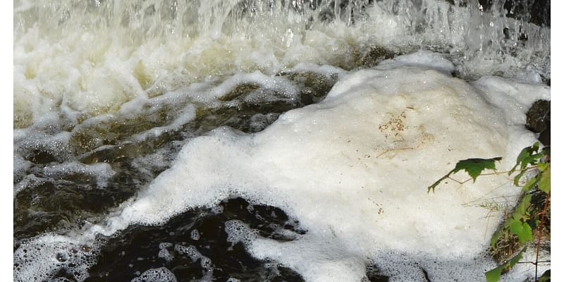 Source of high PFAS levels in Muskegon Lake foam unknown, researchers say