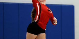 Warwick, Manheim Township reach L-L League girls volleyball semifinals