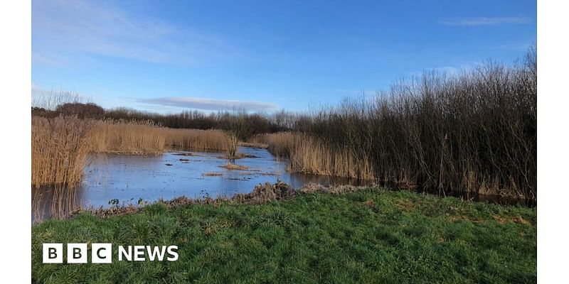 Calls for peat products ban to be sped up