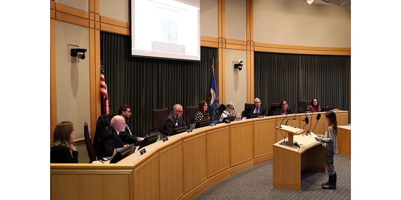 Is being on the Rochester City Council a full-time job? Candidates weigh in